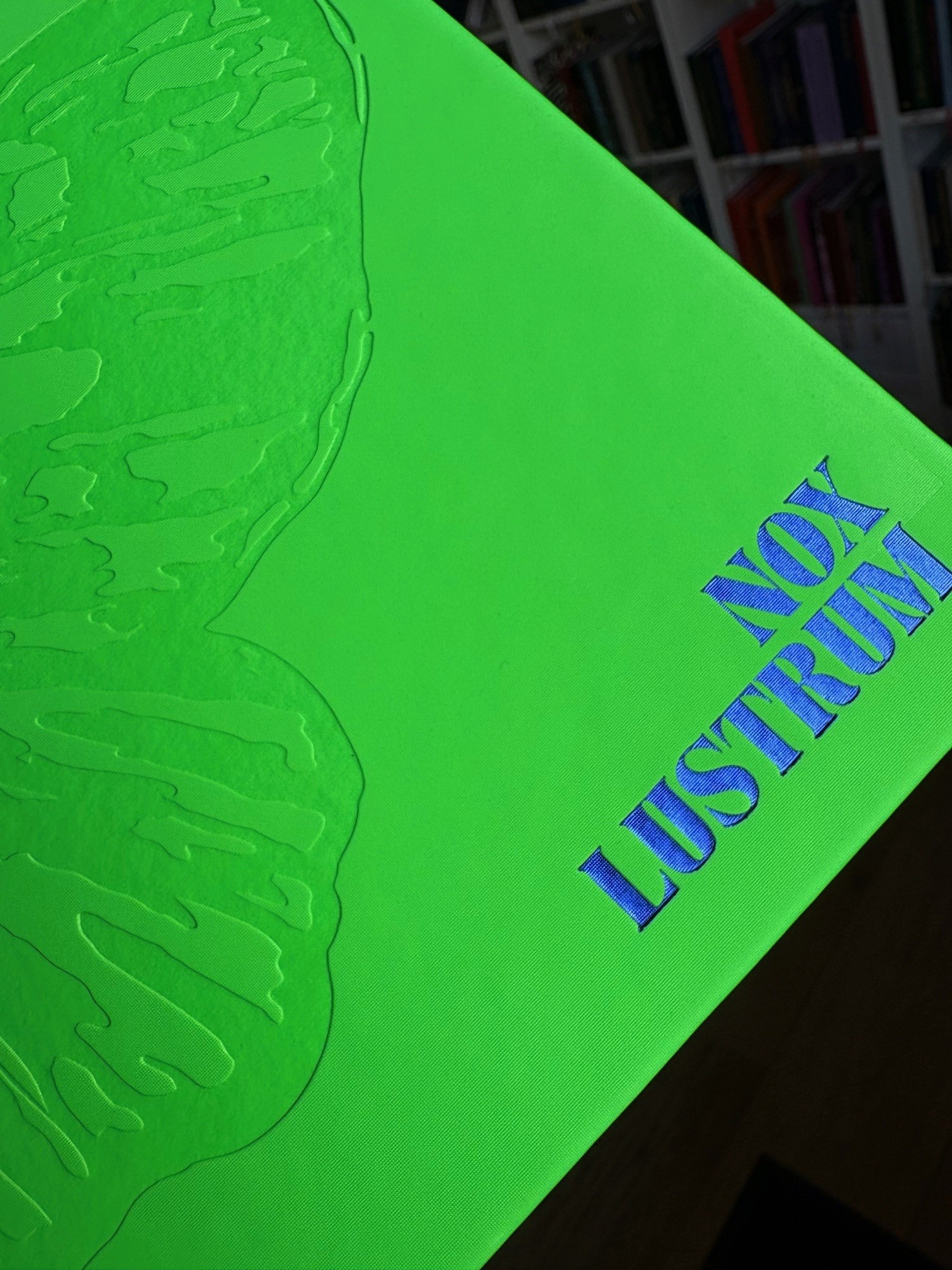 detail van foliedruk in metallic blauw op het voorplat