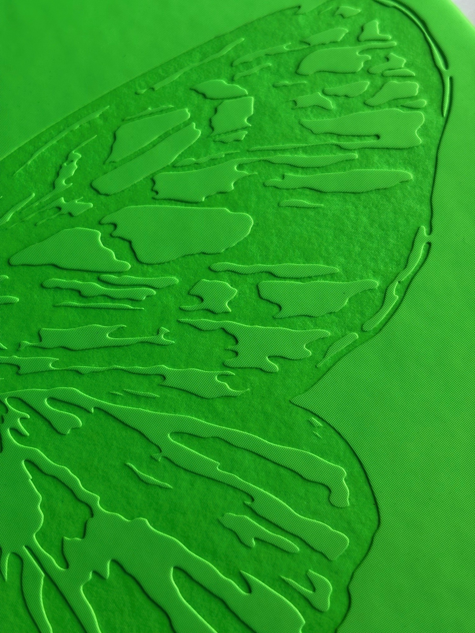 detail van een thermopreeg op het voorplat